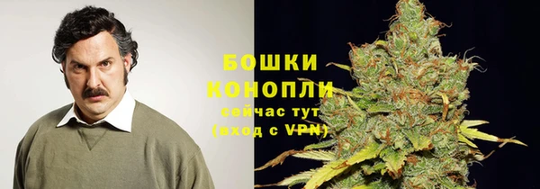 стафф Козловка