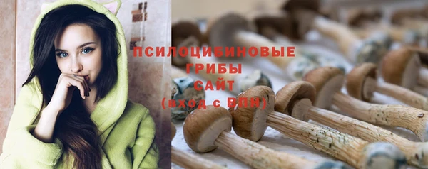 стафф Козловка