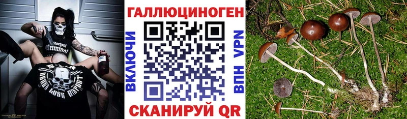 Галлюциногенные грибы мицелий  Котельнич 